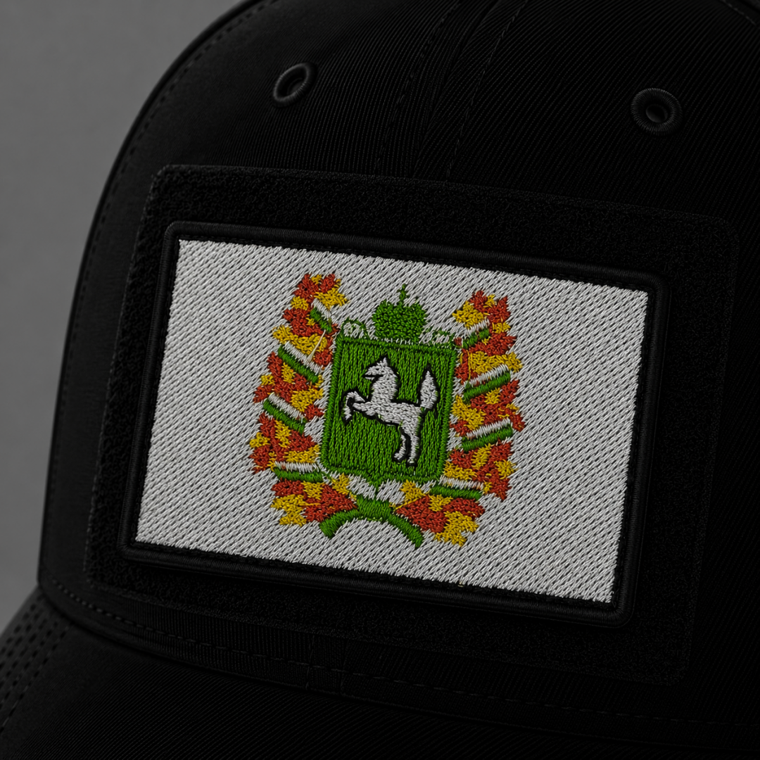 Нашивка, патч, шеврон на липучке "Флаг Томской области" 70x45mm PTC599